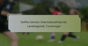 Steffen Iversen: Internationell karriär, Landslagsmål, Turneringar