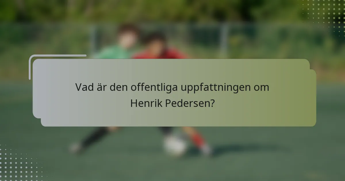 Vad är den offentliga uppfattningen om Henrik Pedersen?